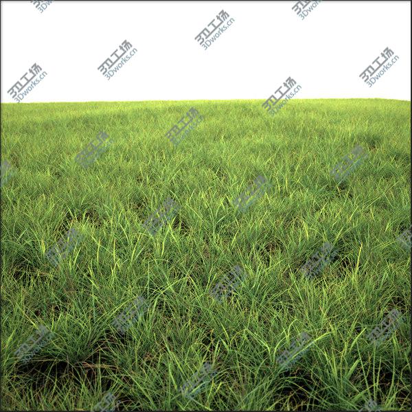 images/goods_img/20210312/Archviz grasses vol.1/2.jpg